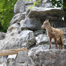 IMG_1957.JPG