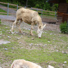 IMG_1985.JPG