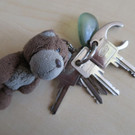 2019-06-03_nonnenhorn_toter_schl__sselbung.jpg