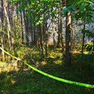 Bilder der Löscharbeiten
