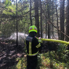 IMG-20190604-WA0046.jpg