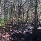 IMG-20190604-WA0049.jpg