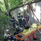 Feuerwehreinsatz auf der Wiener Höhenstraße: Bilder
