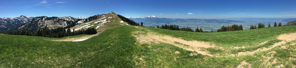 IMG_1586.JPG