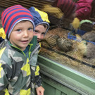 86 Doppelmayer_Zoo.jpg
