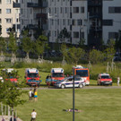 20190605_CL52098-2.jpg
