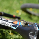 20190601_02_KidsBikeCampeBoedele__KostelacJuergenEva_168.JPG