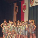Landesverbandstag der VVF im Wiesenbachsaal!