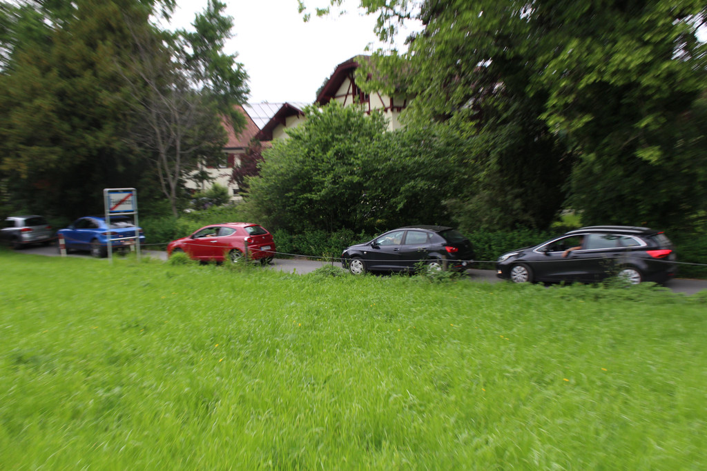 IMG_7974.JPG