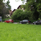 IMG_7974.JPG