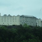 IMG_1875.JPG