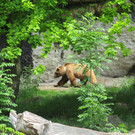 IMG_2116.JPG