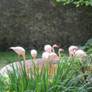 IMG_2127.JPG