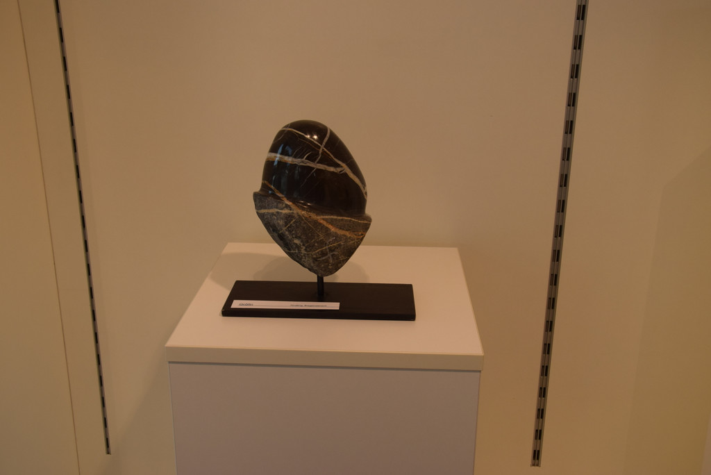 DSC_0008.JPG