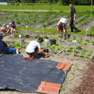 Schulgarten  _1_.JPG