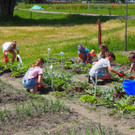 Schulgarten  _2_.JPG