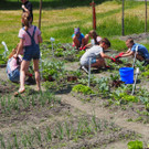 Schulgarten  _3_.JPG