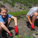 Schulgarten  _6_.JPG