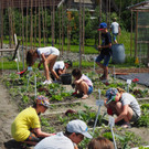 Schulgarten  _7_.JPG