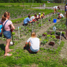 Schulgarten  _9_.JPG