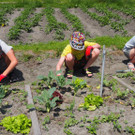 Schulgarten  _10_.JPG