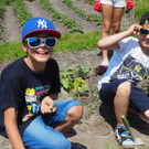 Schulgarten  _12_.JPG