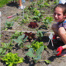 Schulgarten  _13_.JPG