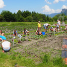 Schulgarten  _16_.JPG