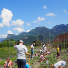 Schulgarten  _17_.JPG