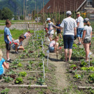 Schulgarten  _19_.JPG