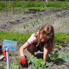 Schulgarten  _20_.JPG