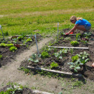 Schulgarten  _21_.JPG