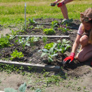 Schulgarten  _22_.JPG