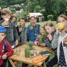 OGV_Wolfurt_076.jpg