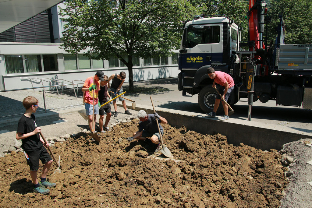Lehm und erste Bepflanzung _12_.JPG