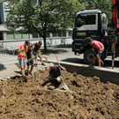 Lehm und erste Bepflanzung _12_.JPG