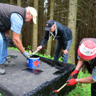Freiwilligentag 060619_5.JPG