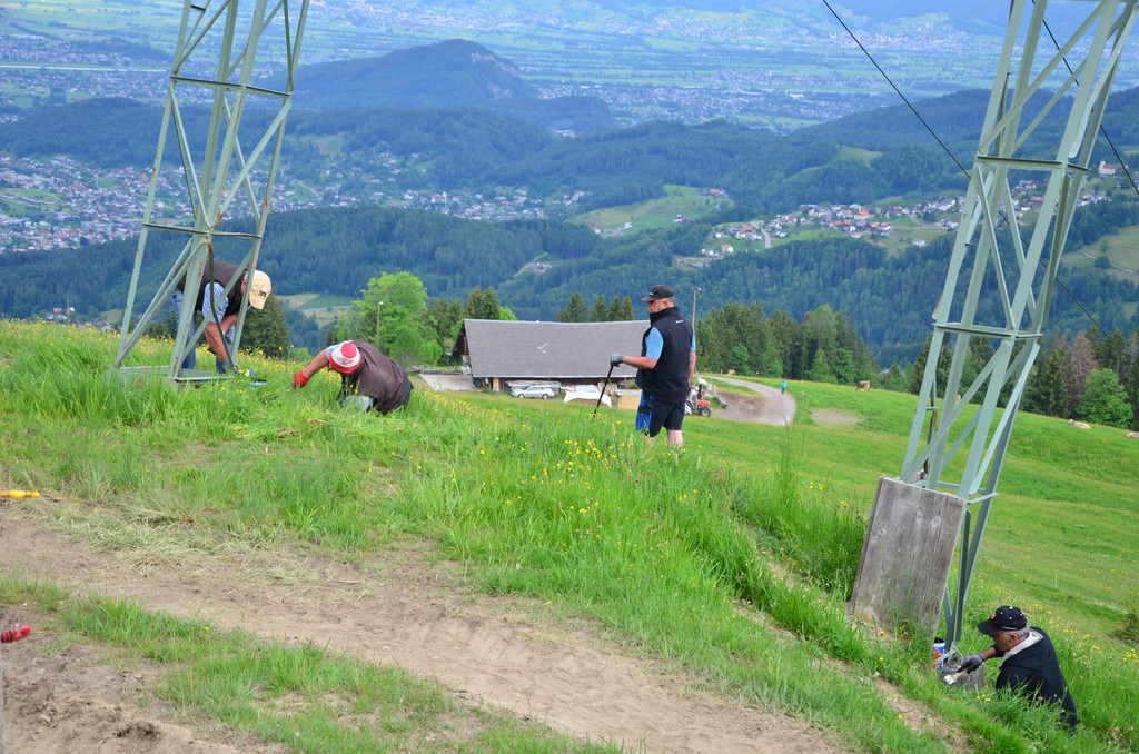Freiwilligentag 060619_8.JPG