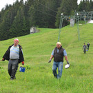 Freiwilligentag 060619_10.JPG