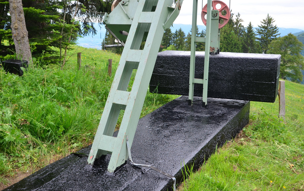Freiwilligentag 060619_21.JPG