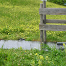 Freiwilligentag 060619_24.JPG
