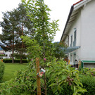 Juni 10 013.JPG