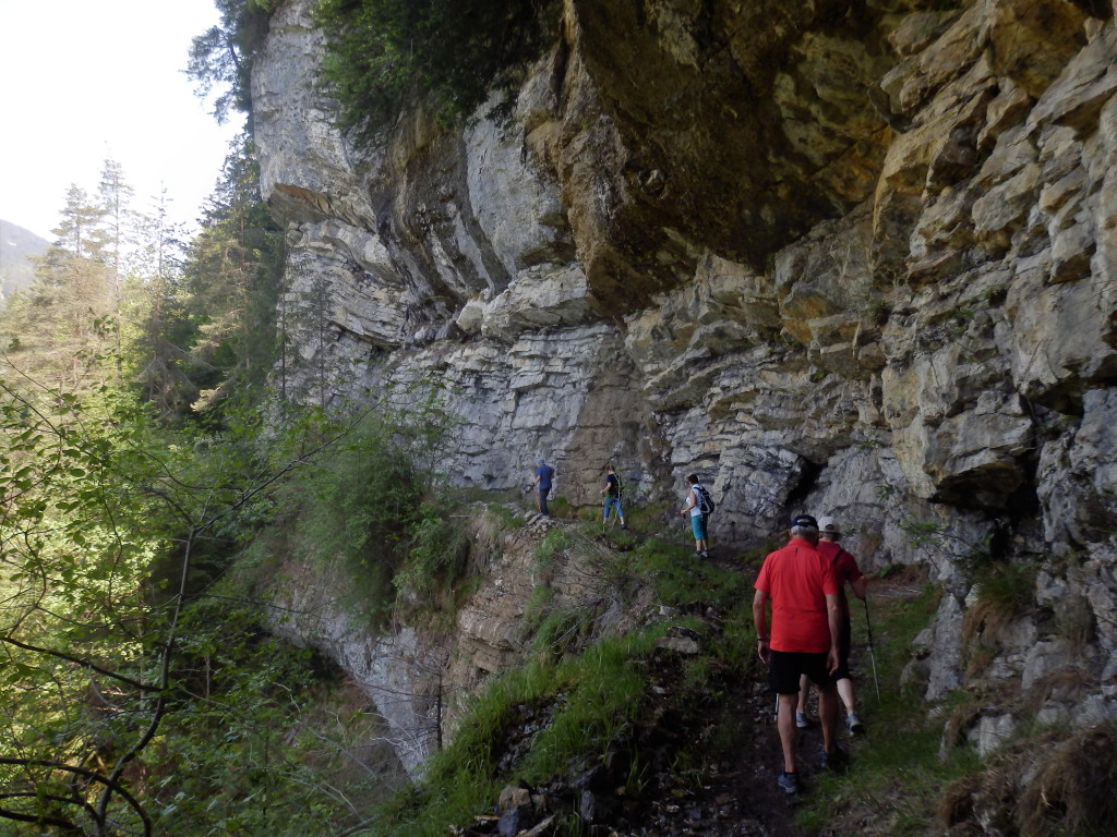 P1010037.JPG