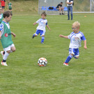 _DSC2010.JPG