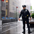 AFP_1HE5F7.jpg