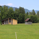 IMG_3503.JPG