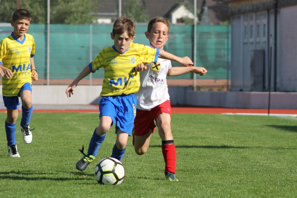 IMG_4553 _2_.JPG