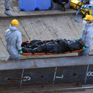 AFP_1HE83T.jpg
