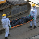 AFP_1HE84D.jpg