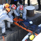 AFP_1HE84J.jpg